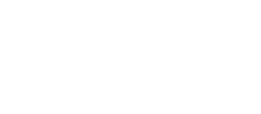 P&P Solutions - Logo Bianco